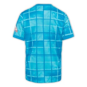 Hertha BSC Alternativní 2024-25 - Fotbalové Dresy (S/S)